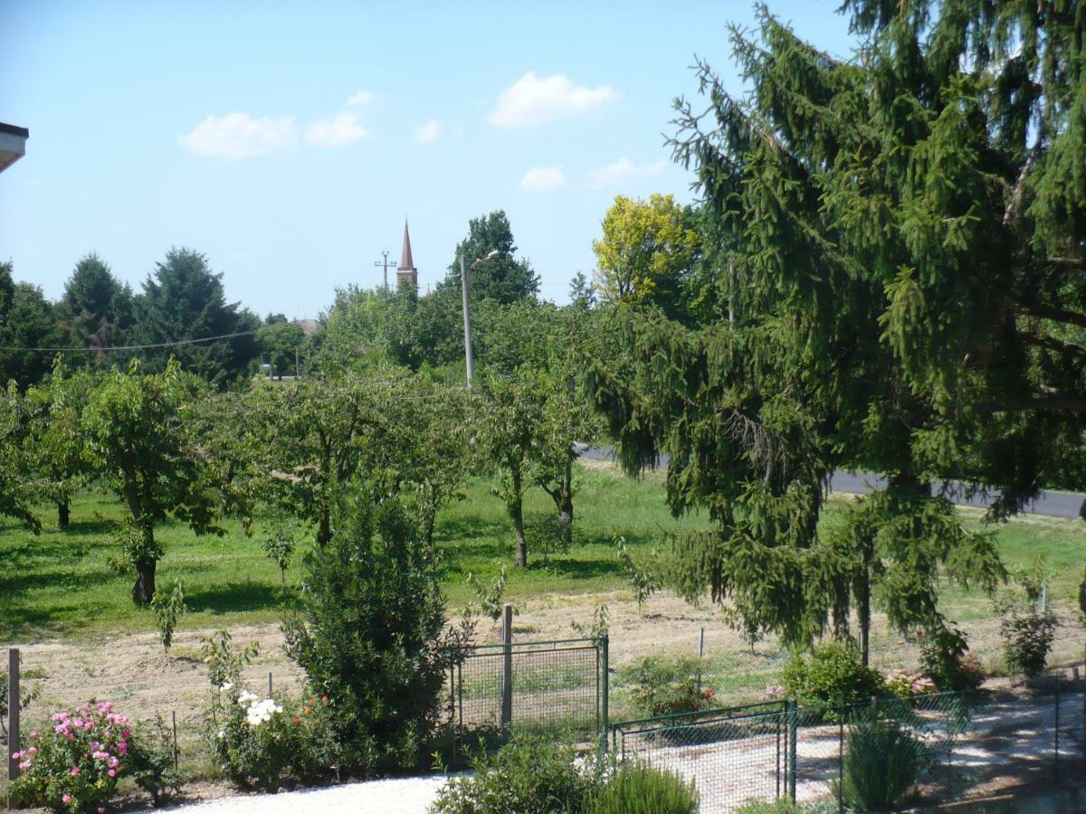 مبيت وإفطار Villanova sull'Arda L'Albero Della Gioia المظهر الخارجي الصورة