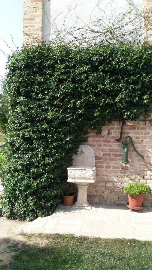 مبيت وإفطار Villanova sull'Arda L'Albero Della Gioia المظهر الخارجي الصورة