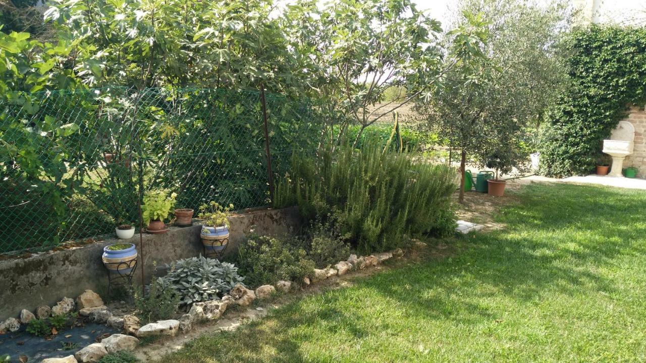 مبيت وإفطار Villanova sull'Arda L'Albero Della Gioia المظهر الخارجي الصورة